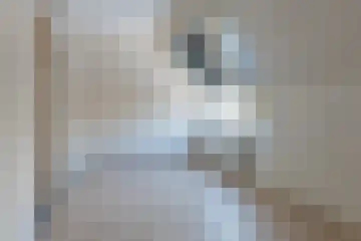 Albert Einsteinweg 69 De Bilt thumbnail 18