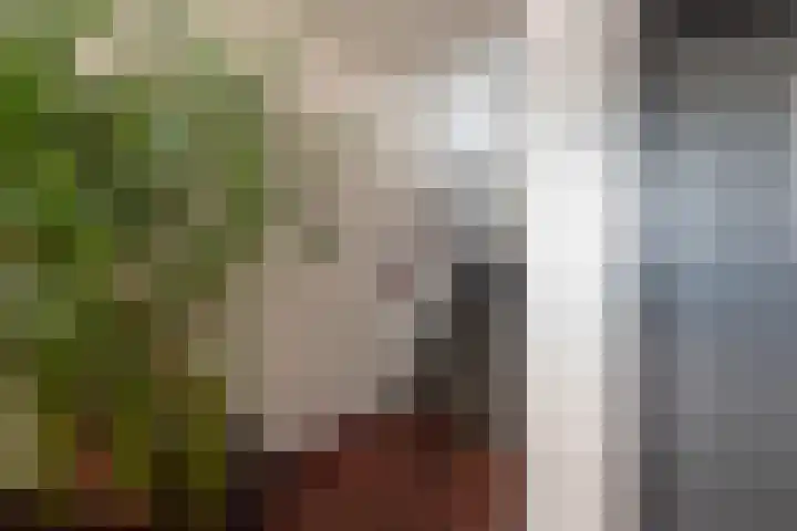 Albert Einsteinweg 69 De Bilt thumbnail 4