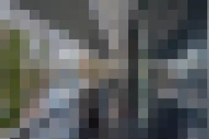 Albert Einsteinweg 69 De Bilt thumbnail 5