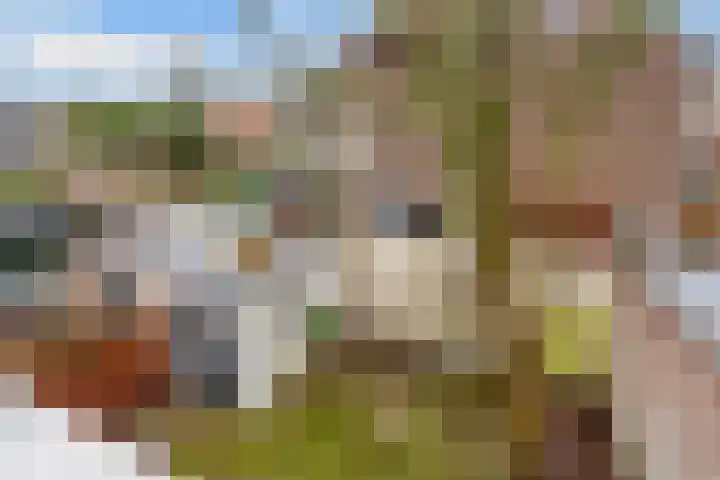 Albert Grootlaan 12 Naarden thumbnail 27