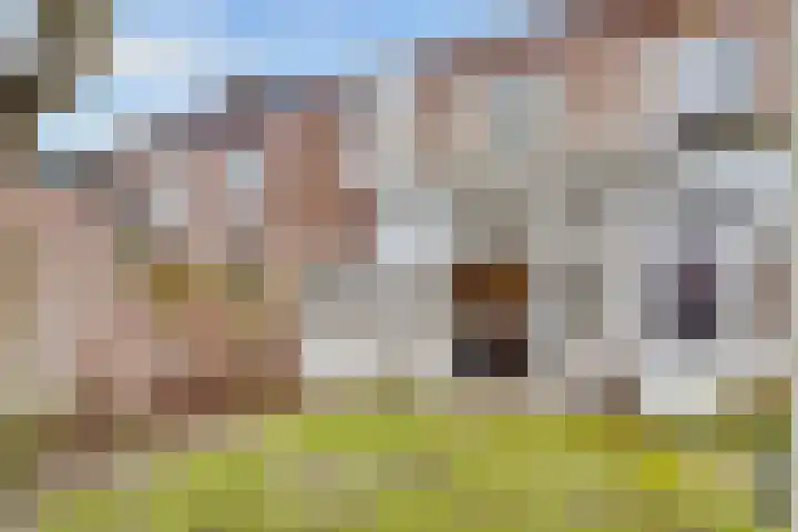 Albert Grootlaan 12 Naarden thumbnail 45