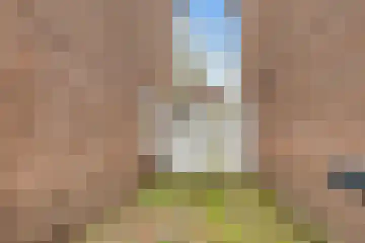 Albert Grootlaan 12 Naarden thumbnail 46