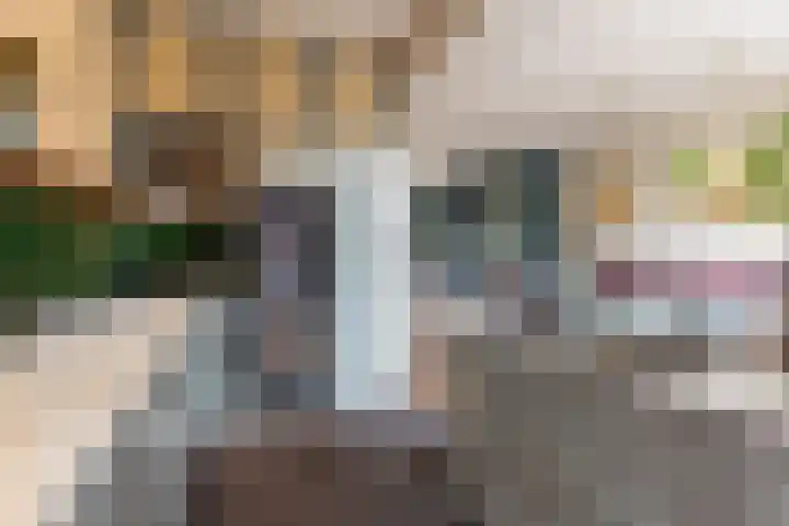 Albert Grootlaan 5 Naarden thumbnail 20