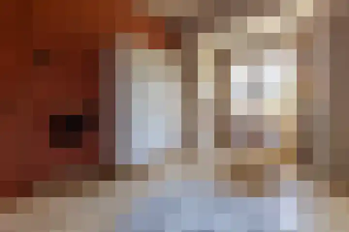 Albert Grootlaan 5 Naarden thumbnail 30