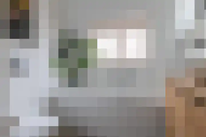Albert Grootlaan 5 Naarden thumbnail 33