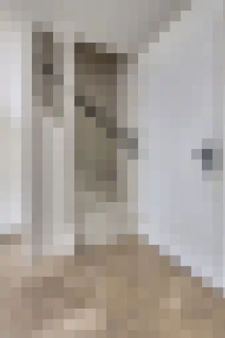 Albert Grootlaan 6 Naarden thumbnail 12