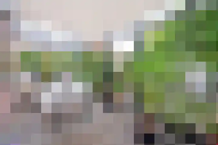 Albert Grootlaan 6 Naarden thumbnail 16