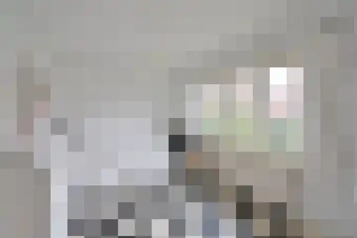 Albert Grootlaan 6 Naarden thumbnail 21