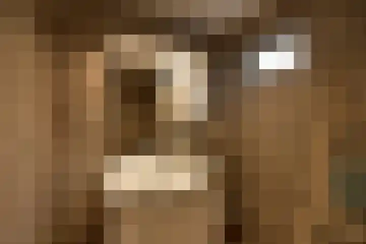 Albert Grootlaan 6 Naarden thumbnail 30