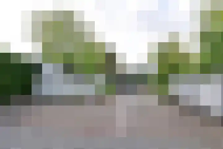 Albert Grootlaan 6 Naarden thumbnail 5