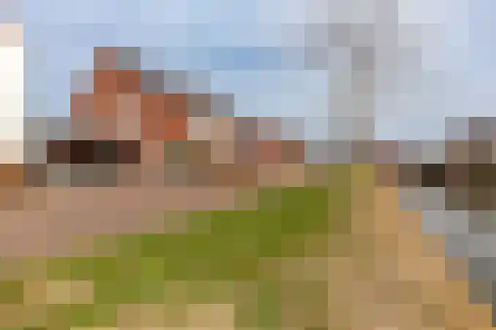 Albert Michelsonstraat 6 Almere thumbnail 14