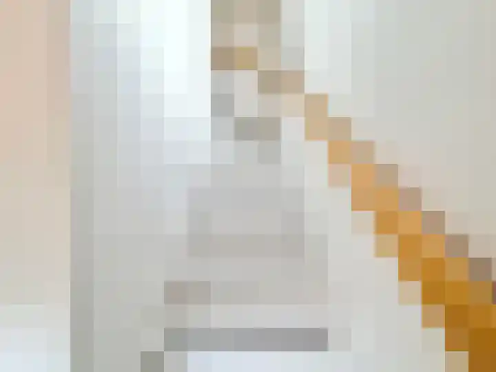 Albert Molhof 2 B Amsterdam thumbnail 12