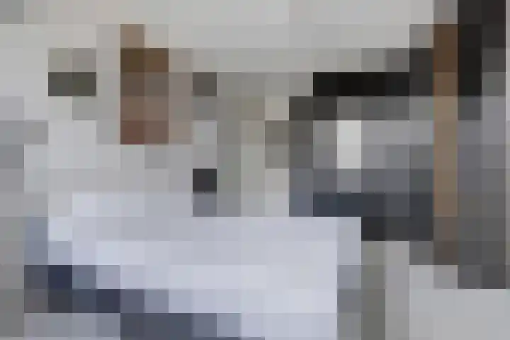 Albert Rousselsingel 48 Rotterdam thumbnail 13
