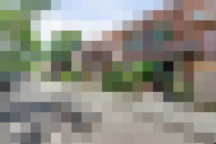 Albert Rousselsingel 48 Rotterdam thumbnail 28
