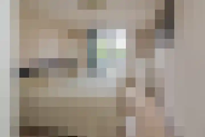 Albert Schweitzerlaan 4 E Haarlem thumbnail 11