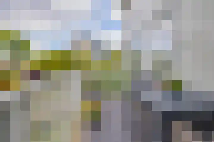 Albert Schweitzerlaan 4 E Haarlem thumbnail 21