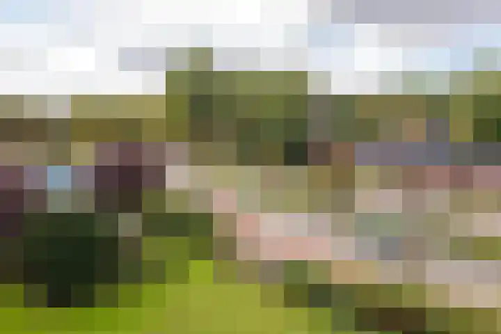 Albert Schweitzerlaan 4 E Haarlem thumbnail 23