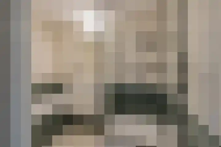 Albert Schweitzerlaan 4 E Haarlem thumbnail 24