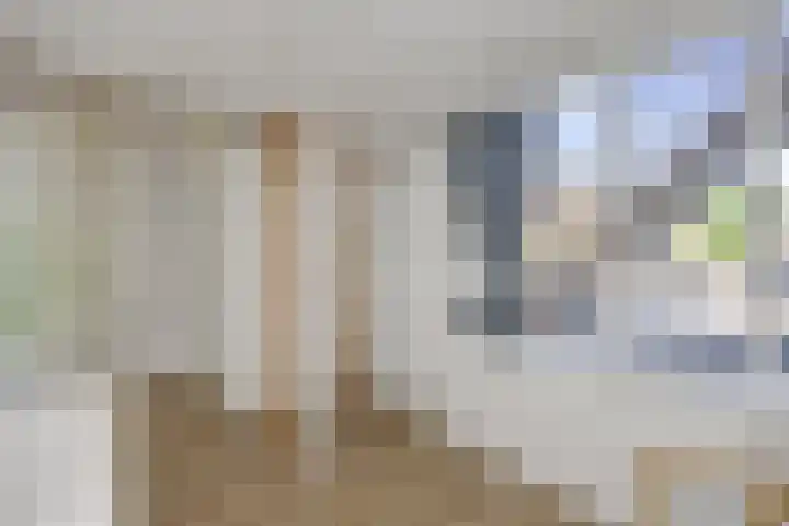 Albert Schweitzerstraat 65 Deurne thumbnail 13