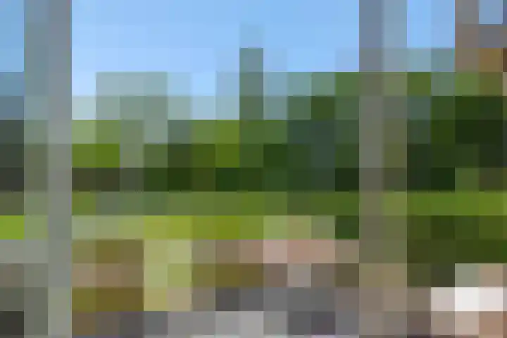Albert Schweitzerstraat 65 Deurne thumbnail 17