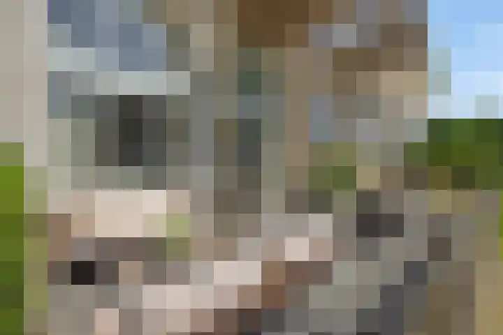 Albert Schweitzerstraat 65 Deurne thumbnail 18
