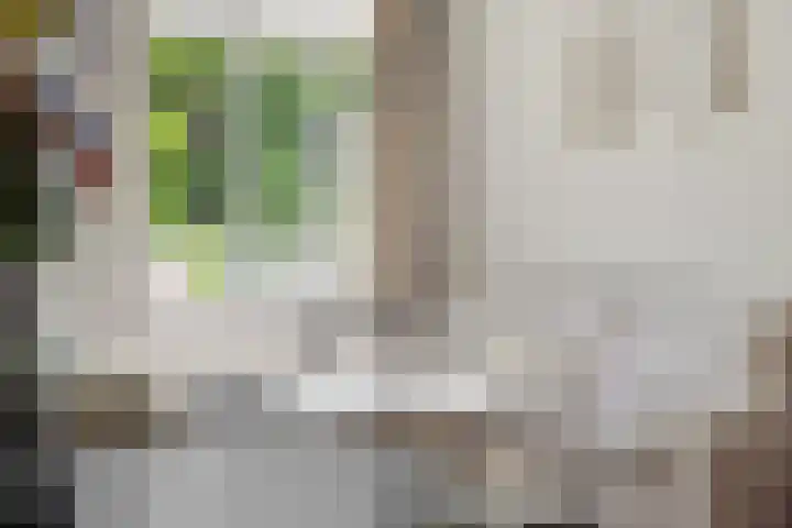Albert Schweitzerstraat 65 Deurne thumbnail 8