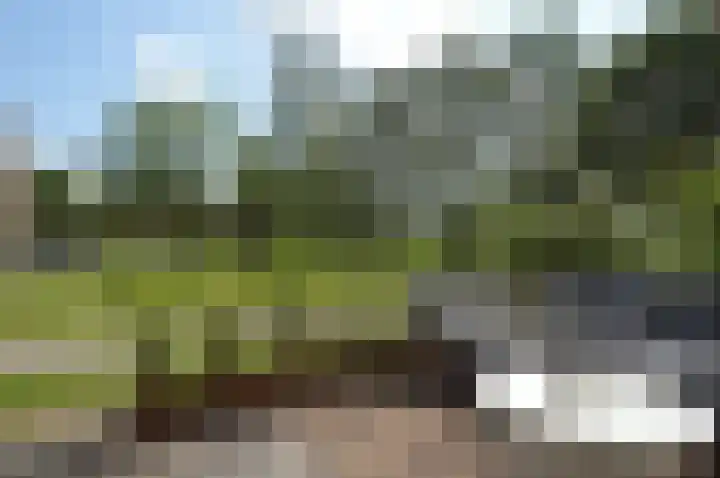 Albert Schweitzerstraat 69 Deurne thumbnail 16