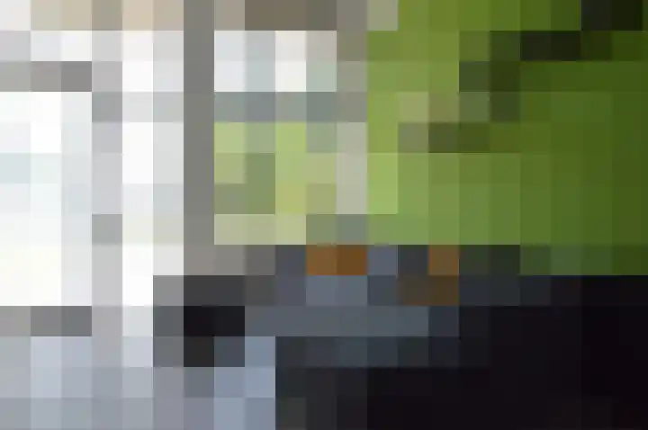 Albert Schweitzerstraat 69 Deurne thumbnail 4