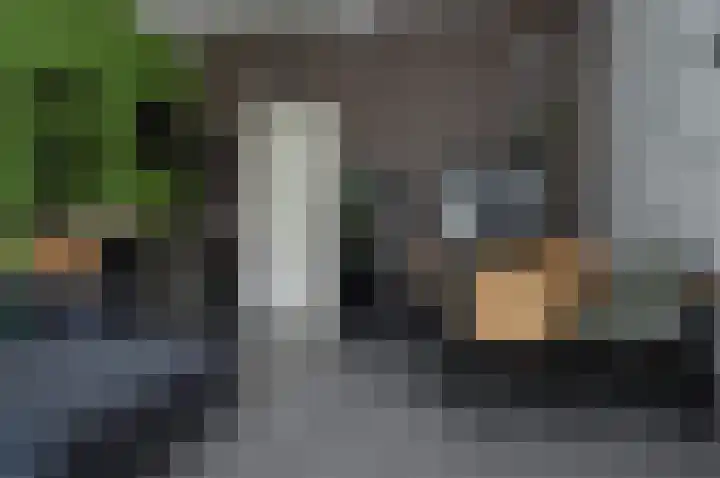 Albert Schweitzerstraat 69 Deurne thumbnail 5