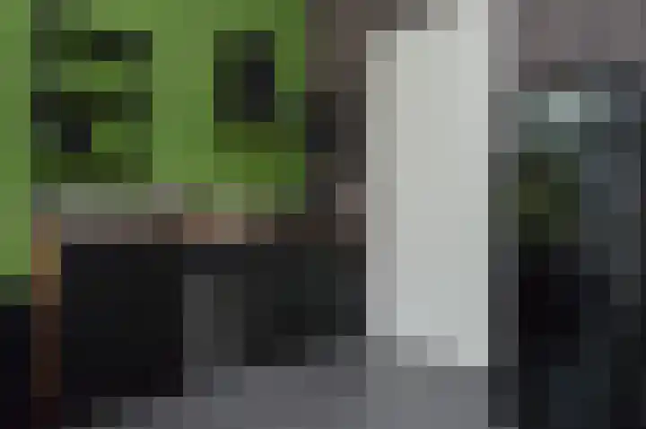 Albert Schweitzerstraat 69 Deurne thumbnail 6