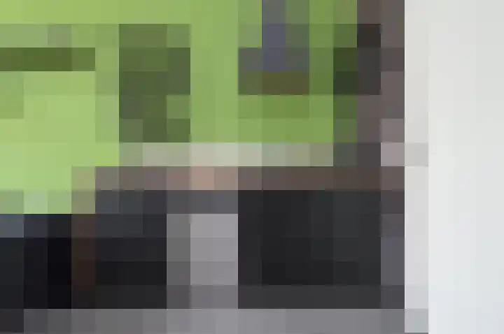 Albert Schweitzerstraat 69 Deurne thumbnail 7