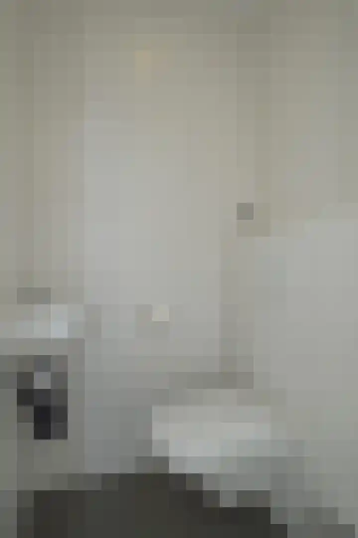 Albert Schweitzerstraat 87 Deurne thumbnail 11