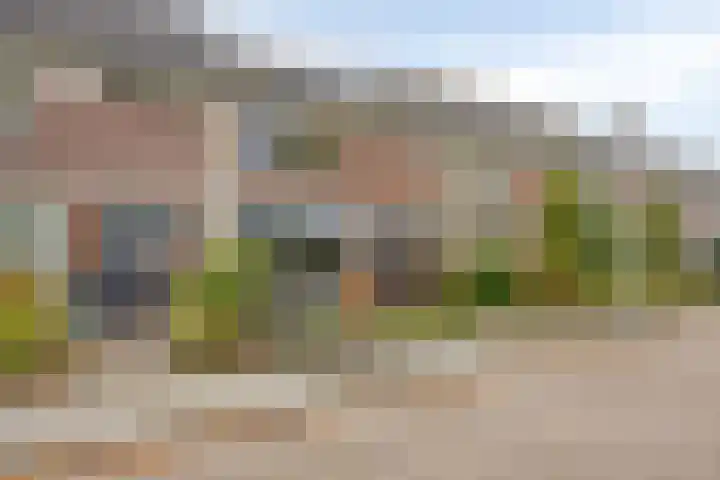 Albert Schweitzerstraat 87 Deurne thumbnail 8
