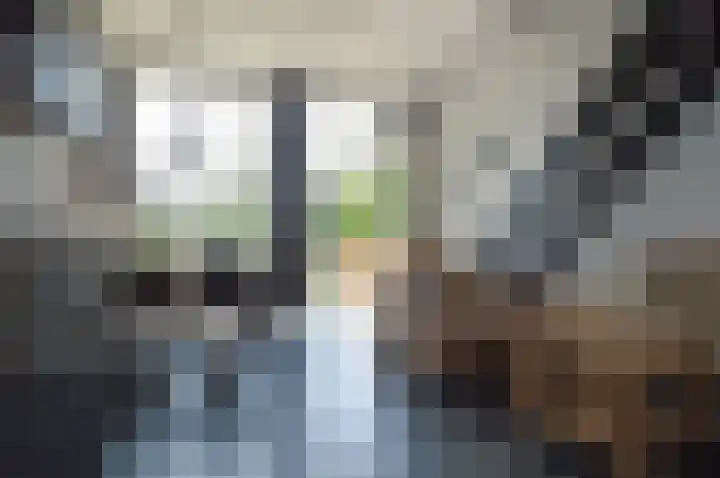 Albert Schweitzerstraat 99 Deurne thumbnail 5