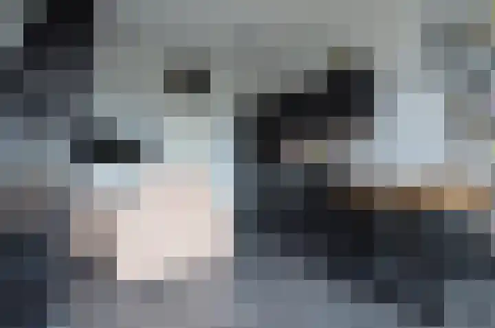 Albert Schweitzerstraat 99 Deurne thumbnail 6