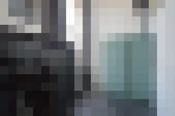 Albert Schweitzerstraat 99 Deurne thumbnail 9