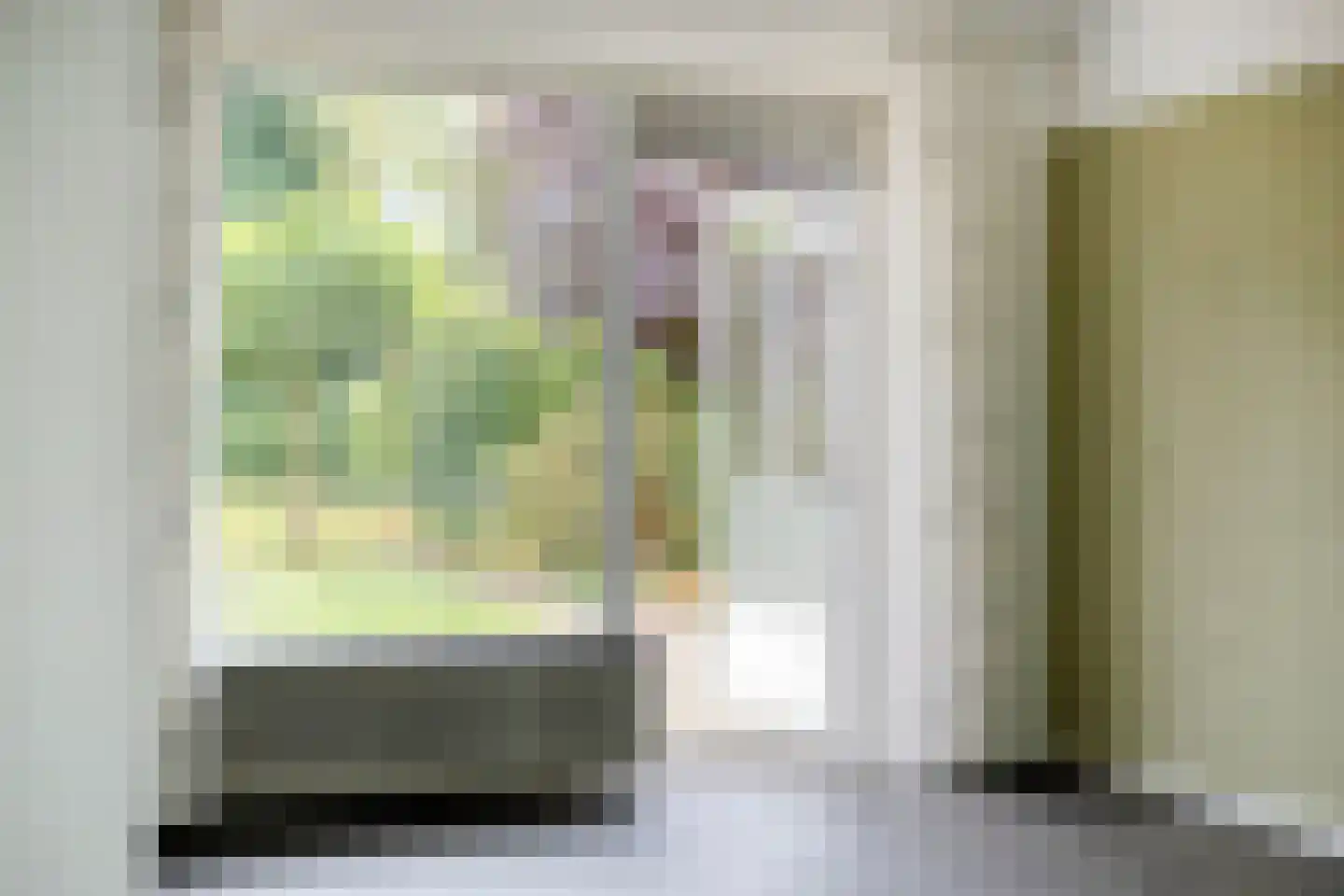 Alberthus Risaeusstraat 8 a Hardenberg thumbnail 15
