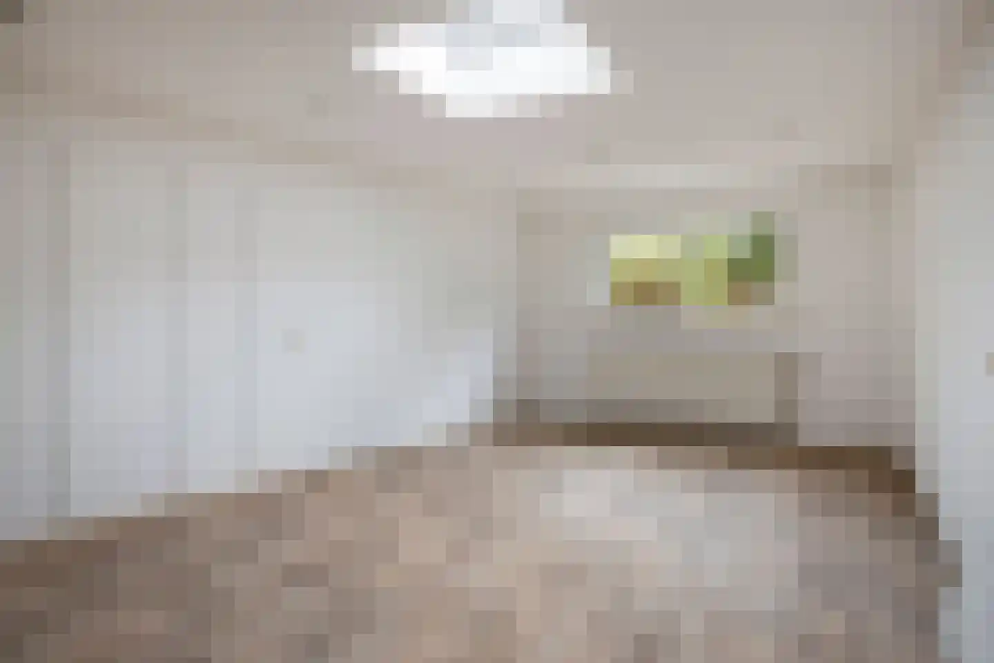 Alberthus Risaeusstraat 8 a Hardenberg thumbnail 20