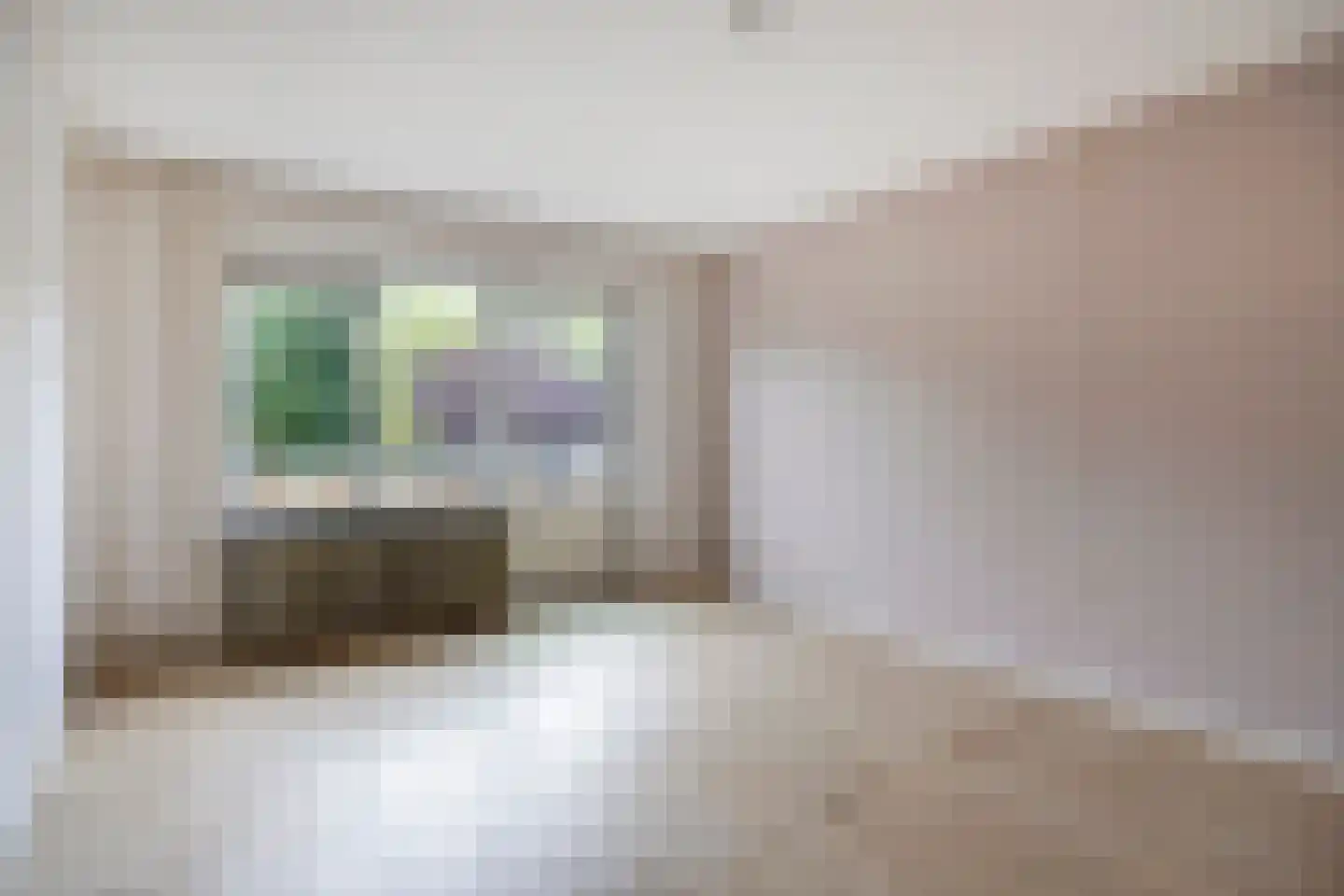 Alberthus Risaeusstraat 8 a Hardenberg thumbnail 26