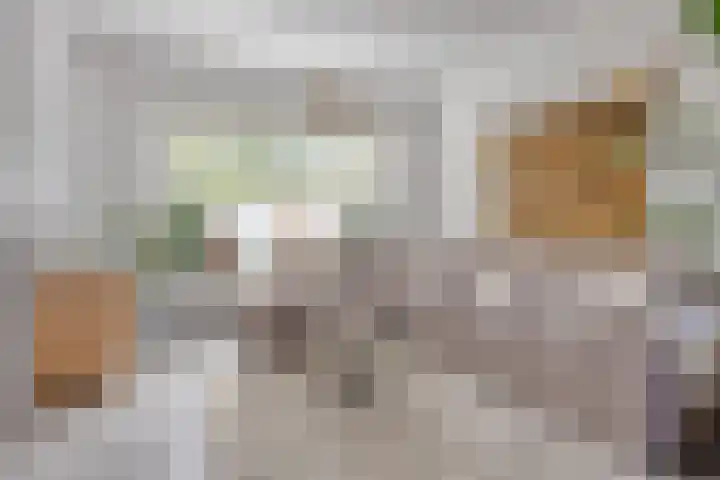 Albertine Agneslaan 13 dans Vlaardingen