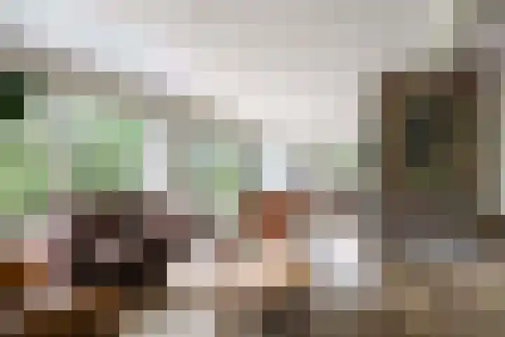 Albertlaan 8 Nunspeet thumbnail 12