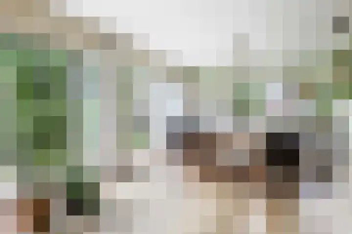 Albertlaan 8 Nunspeet thumbnail 15