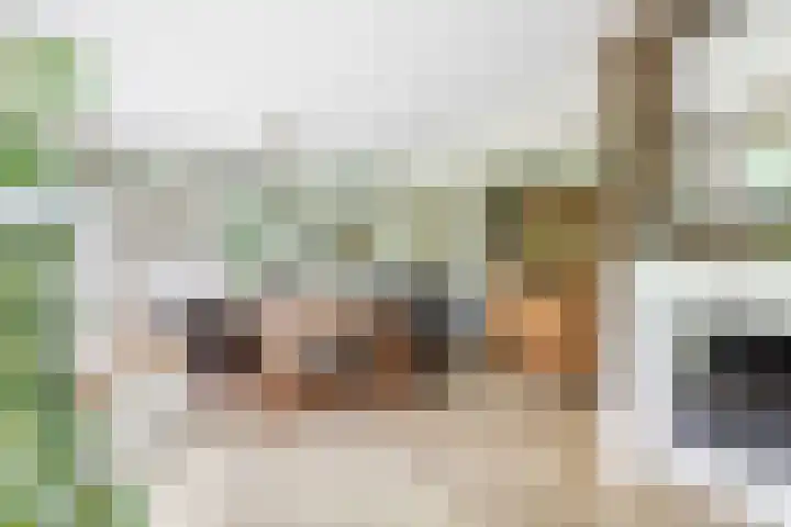 Albertlaan 8 Nunspeet thumbnail 16