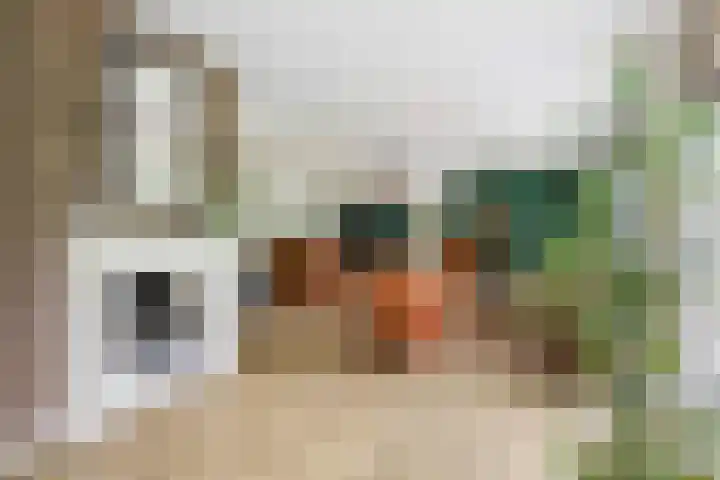 Albertlaan 8 Nunspeet thumbnail 17