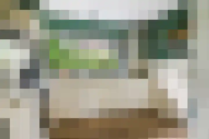 Albertlaan 8 Nunspeet thumbnail 18