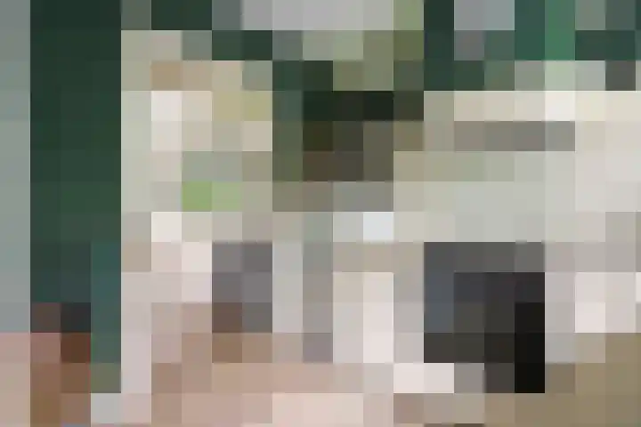 Albertlaan 8 Nunspeet thumbnail 19