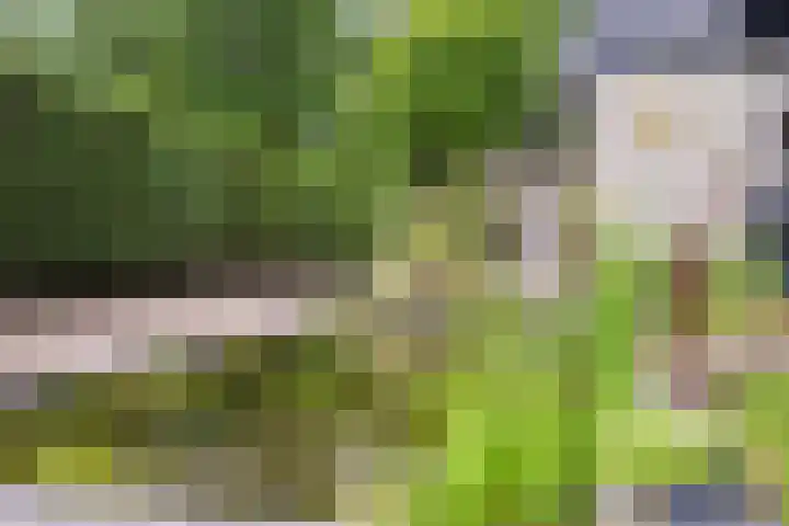 Albertlaan 8 Nunspeet thumbnail 30