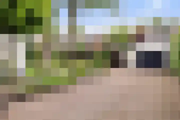 Albertlaan 8 Nunspeet thumbnail 38