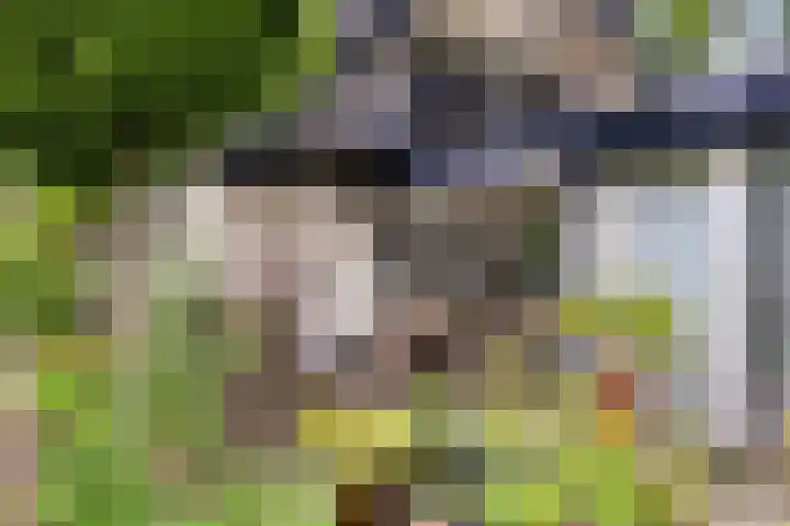 Albertlaan 8 Nunspeet thumbnail 39