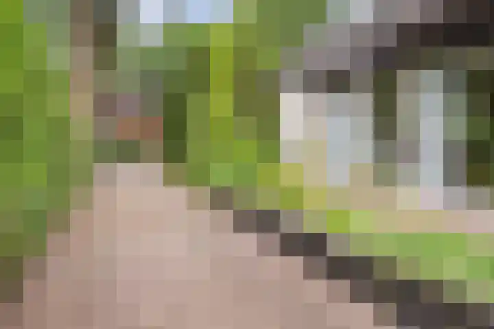 Albertlaan 8 Nunspeet thumbnail 5
